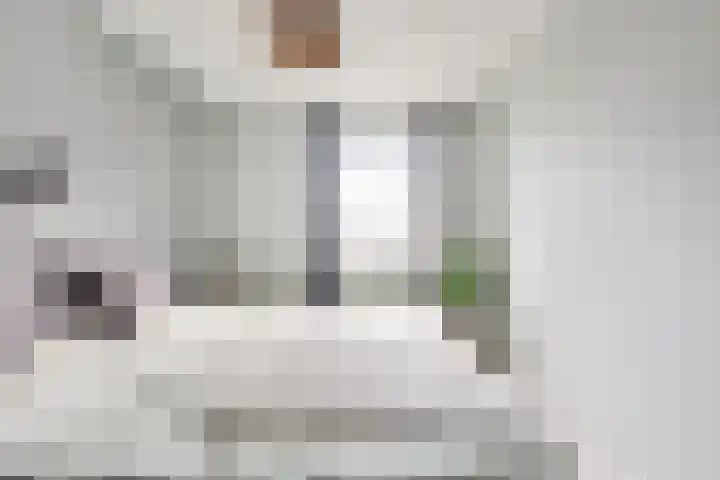 Giessenborch 13 Vianen thumbnail 35