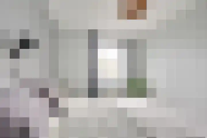 Giessenborch 13 Vianen thumbnail 38