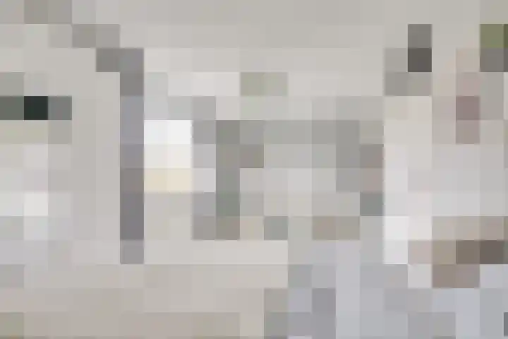 Giessenborch 13 Vianen thumbnail 50