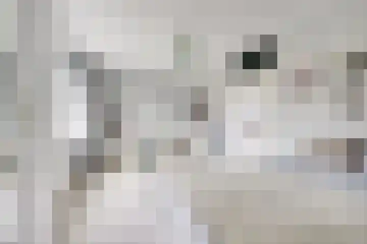 Giessenborch 13 Vianen thumbnail 51