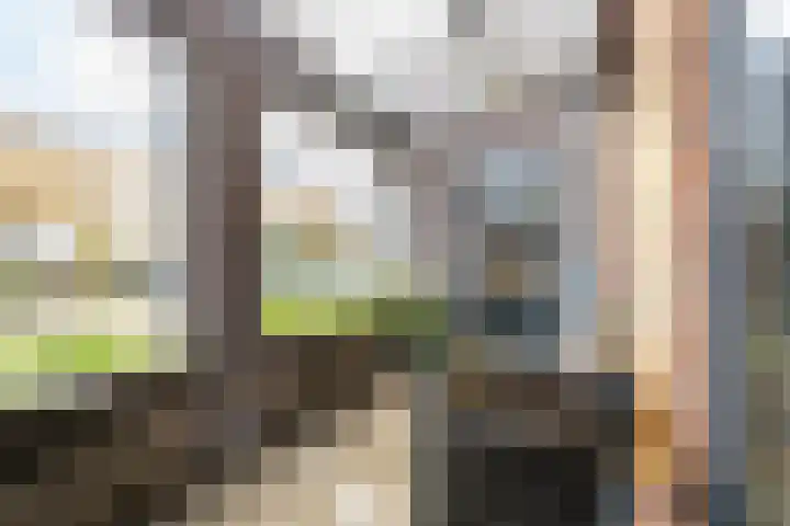 Giessenborch 13 Vianen thumbnail 67