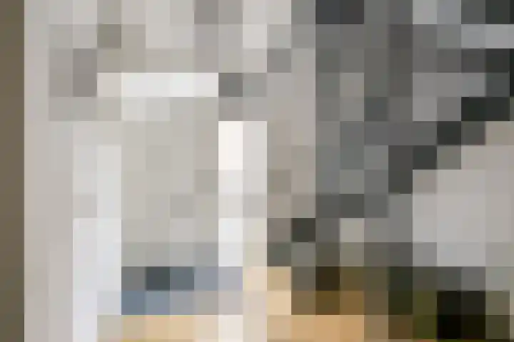 Giessenborch 13 Vianen thumbnail 7