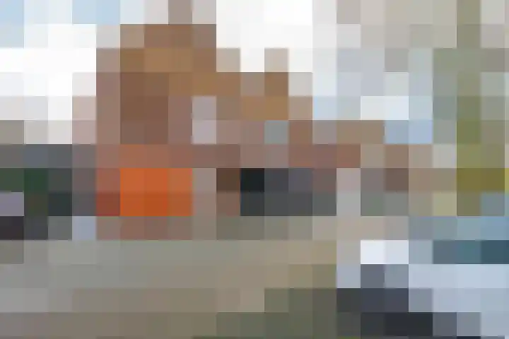 Giessenborch 13 Vianen thumbnail 83