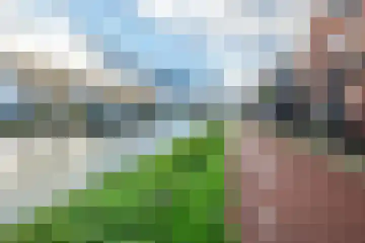 Giessenborch 13 Vianen thumbnail 86