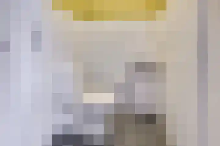 Giessenborch 13 Vianen thumbnail 9