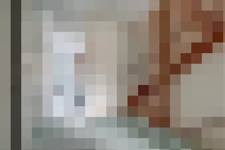 Giessenborch 18 Vianen thumbnail 25