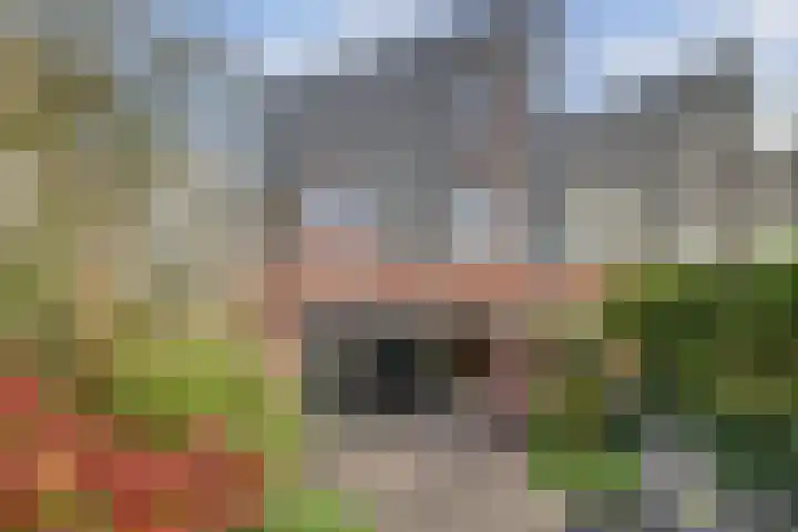 Giessenborch 18 Vianen thumbnail 30