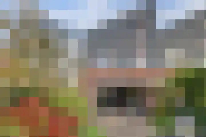 Giessenborch 18 Vianen thumbnail 35