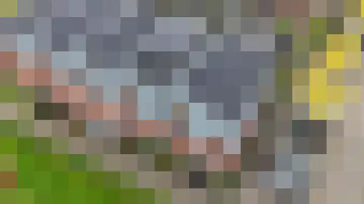 Giessenborch 18 Vianen thumbnail 41