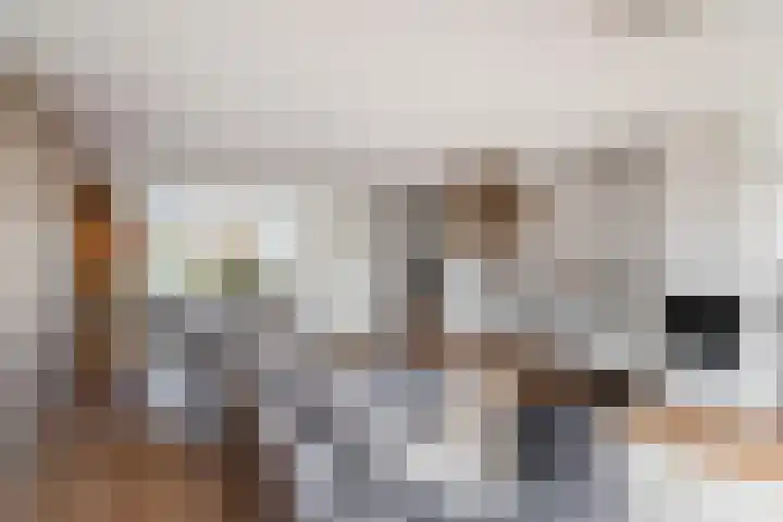 Giessenborch 4 Vianen thumbnail 14