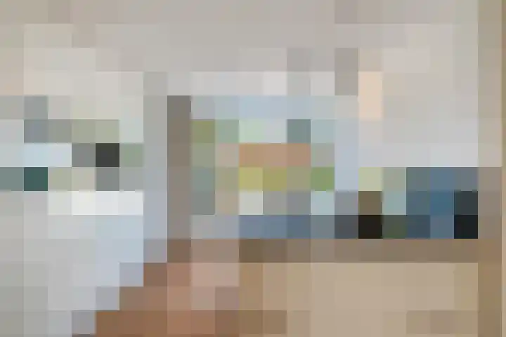 Giessenborch 4 Vianen thumbnail 18