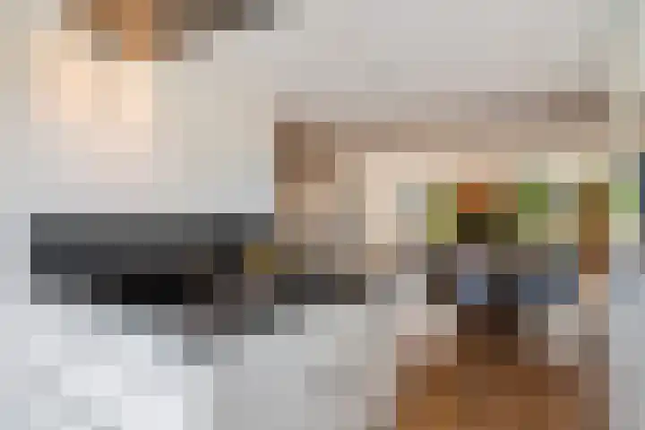 Giessenborch 4 Vianen thumbnail 20