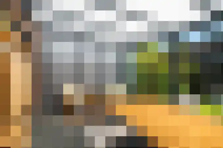 Giessenborch 4 Vianen thumbnail 23