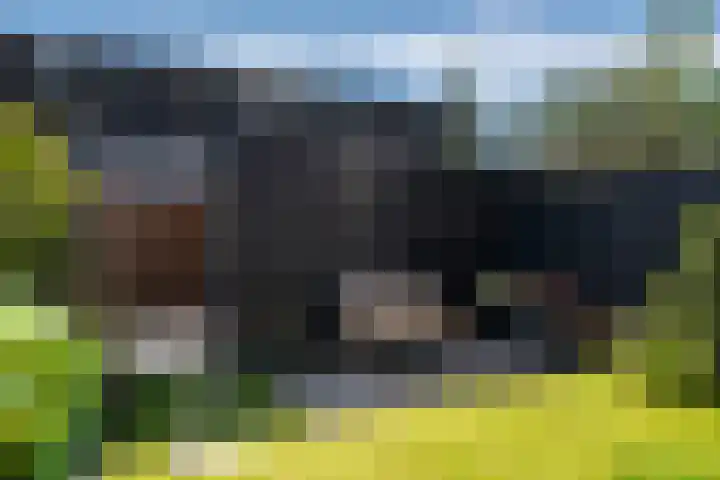 Giessenborch 4 Vianen thumbnail 28
