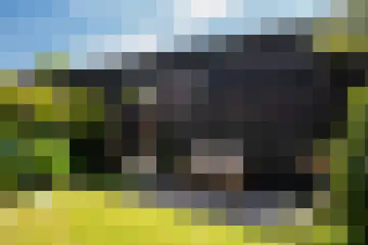 Giessenborch 4 Vianen thumbnail 29