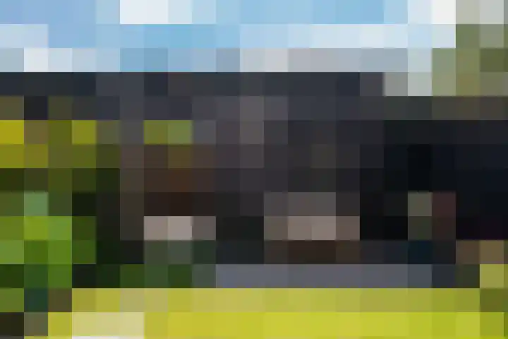 Giessenborch 4 Vianen thumbnail 30