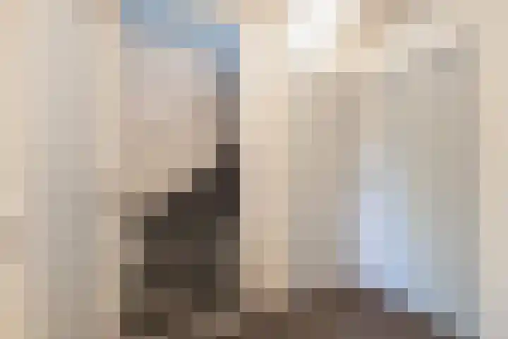 Giessenborch 4 Vianen thumbnail 32