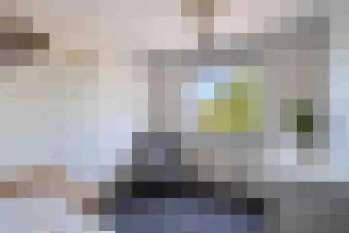 Giessenborch 4 Vianen thumbnail 33
