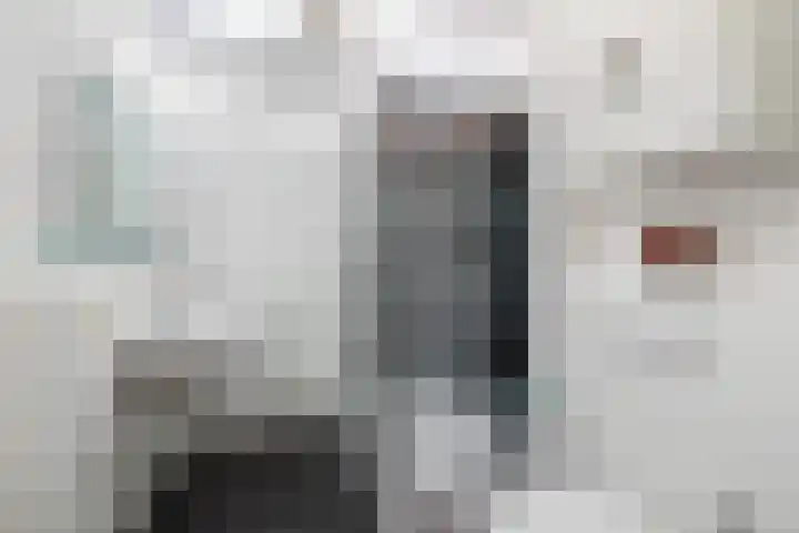 Giessenborch 4 Vianen thumbnail 43