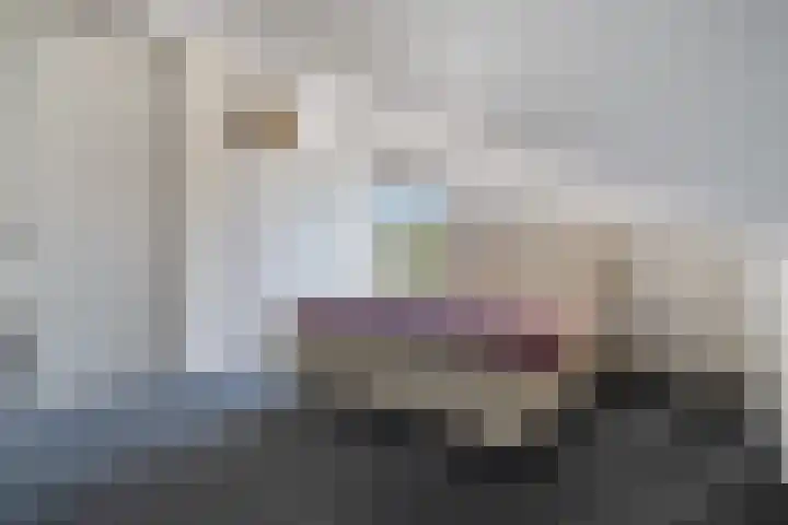 Giessenborch 4 Vianen thumbnail 50