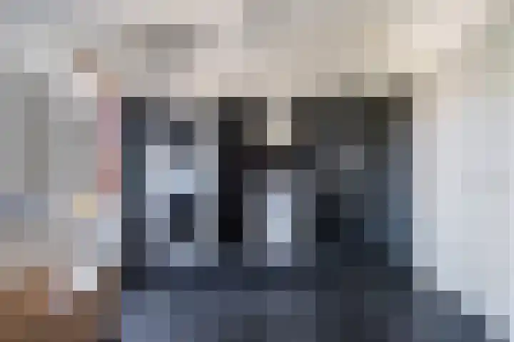 Giessenborch 4 Vianen thumbnail 51