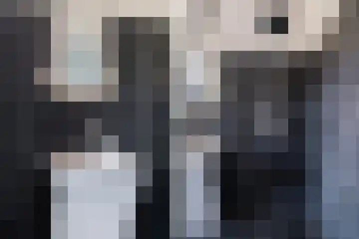 Giessenborch 4 Vianen thumbnail 53