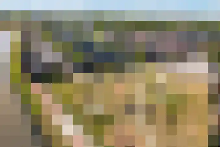 Giessenborch 4 Vianen thumbnail 56