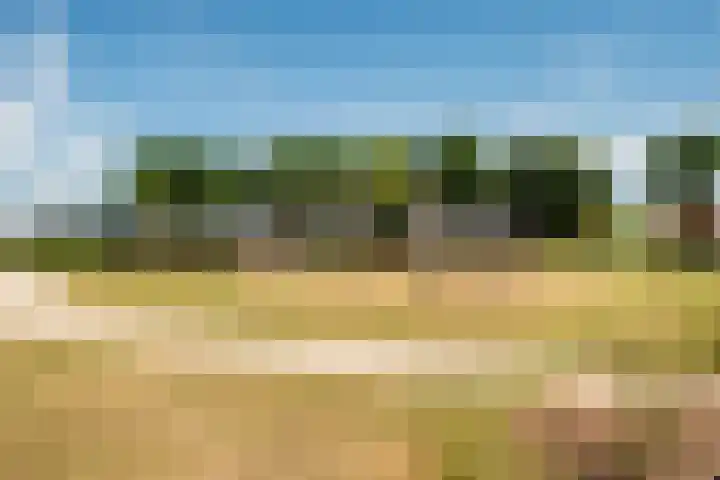 Giessenborch 4 Vianen thumbnail 61