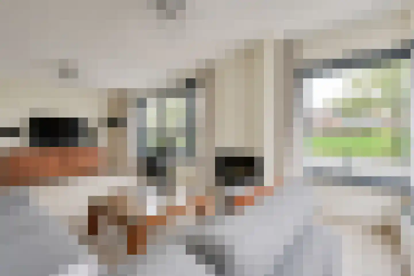 Giessenborch 8 Vianen thumbnail 11