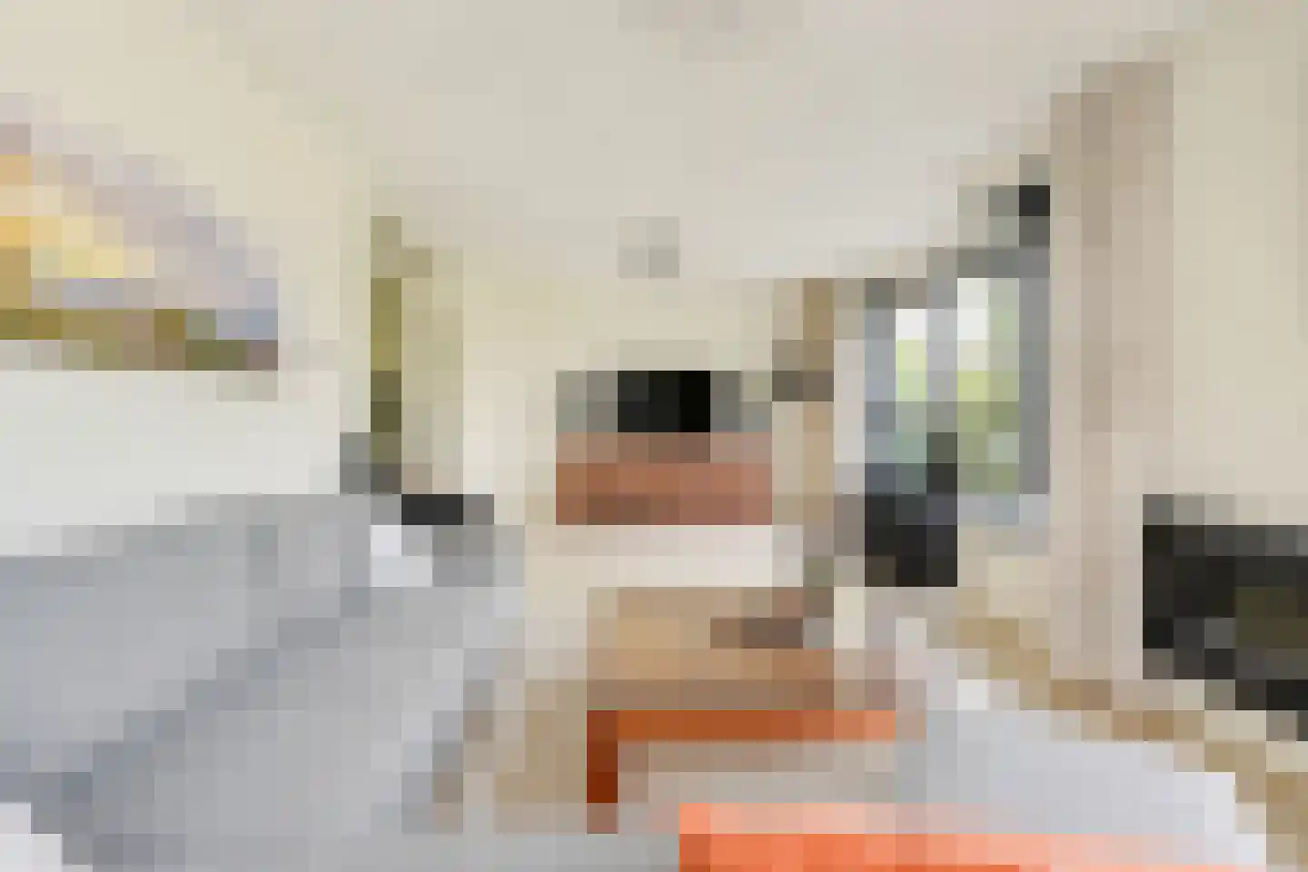 Giessenborch 8 Vianen thumbnail 12