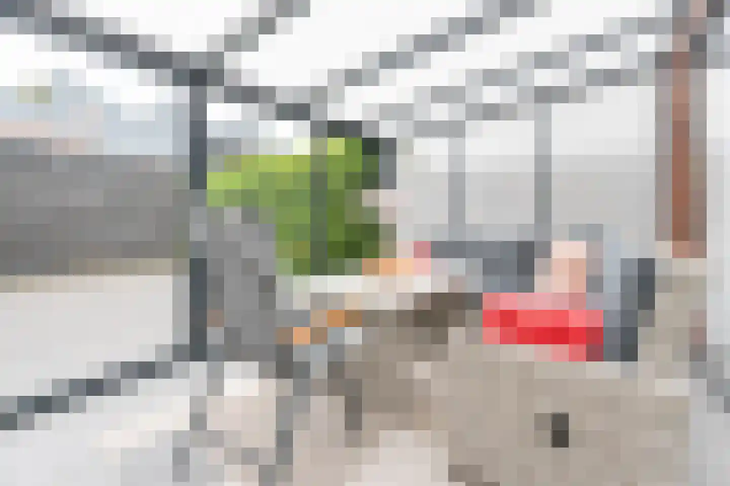 Giessenborch 8 Vianen thumbnail 24