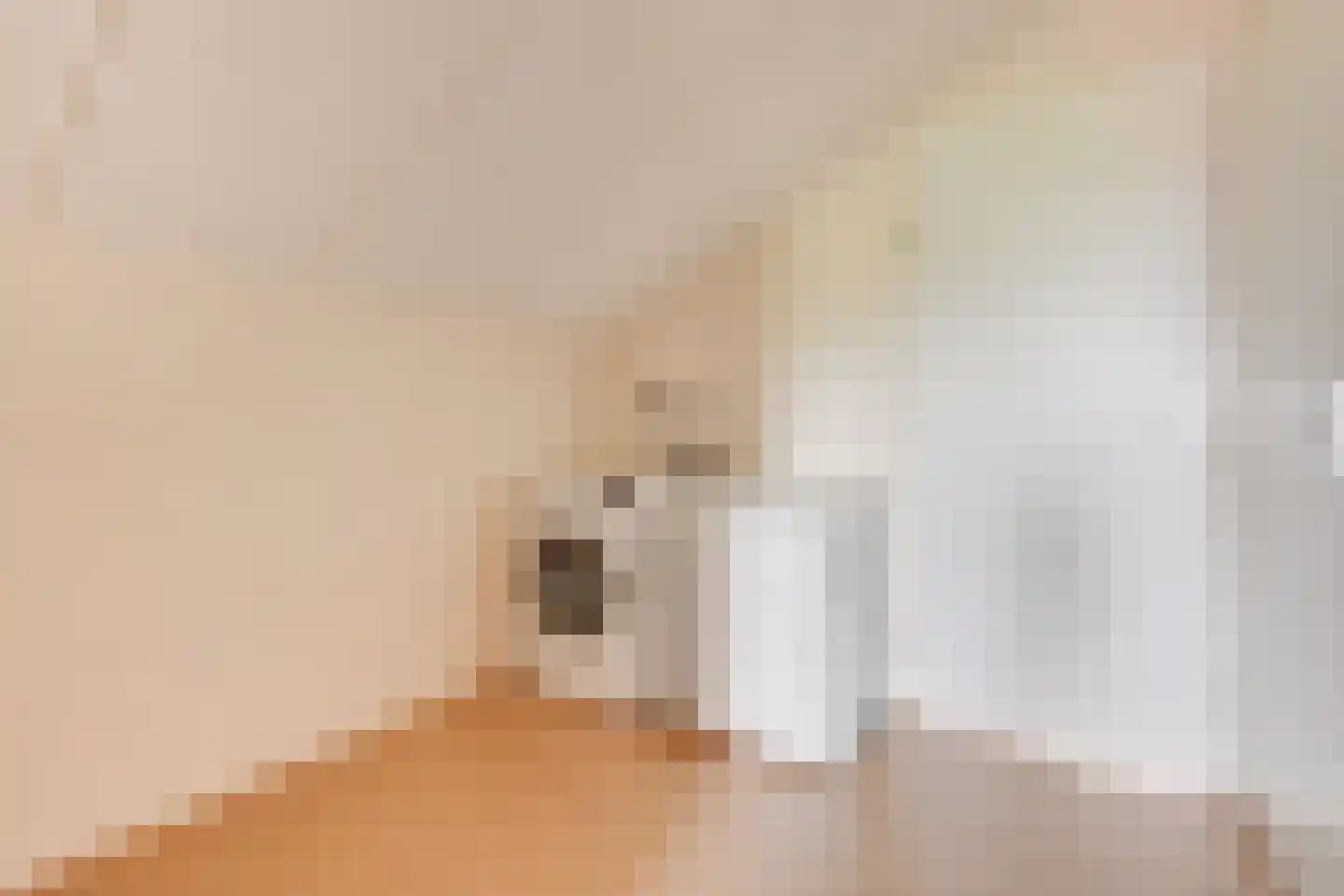 Giessenborch 8 Vianen thumbnail 37