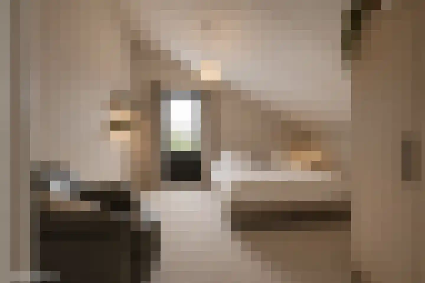 Giessenborch 8 Vianen thumbnail 41