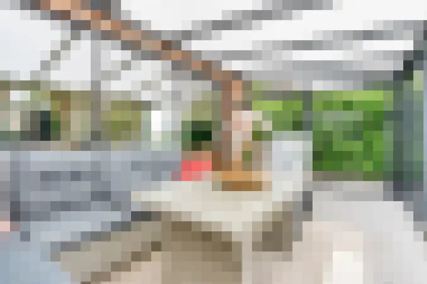 Giessenborch 8 Vianen thumbnail 43