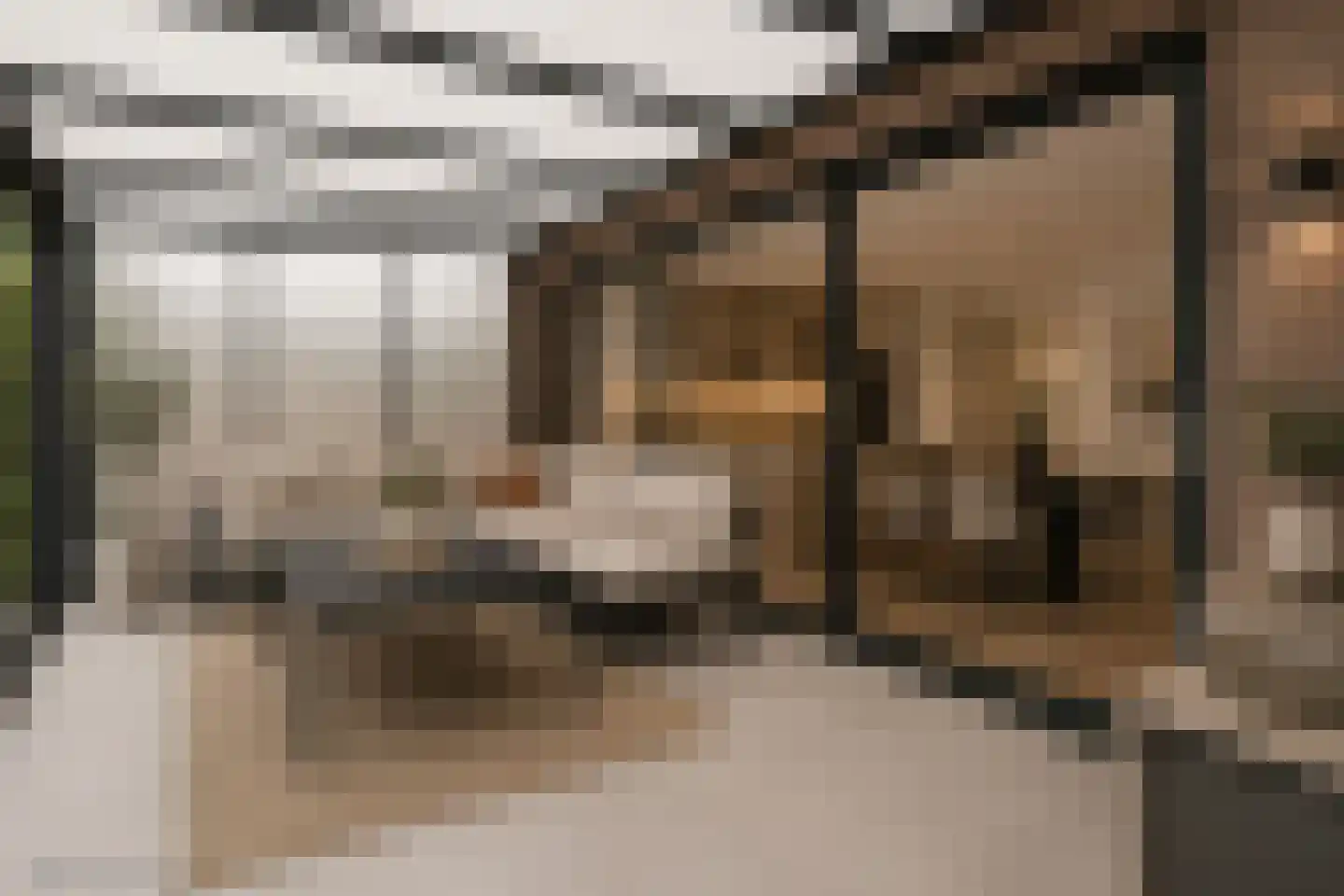 Giessenborch 8 Vianen thumbnail 45
