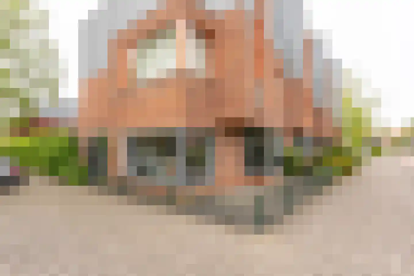 Giessenborch 8 Vianen thumbnail 6