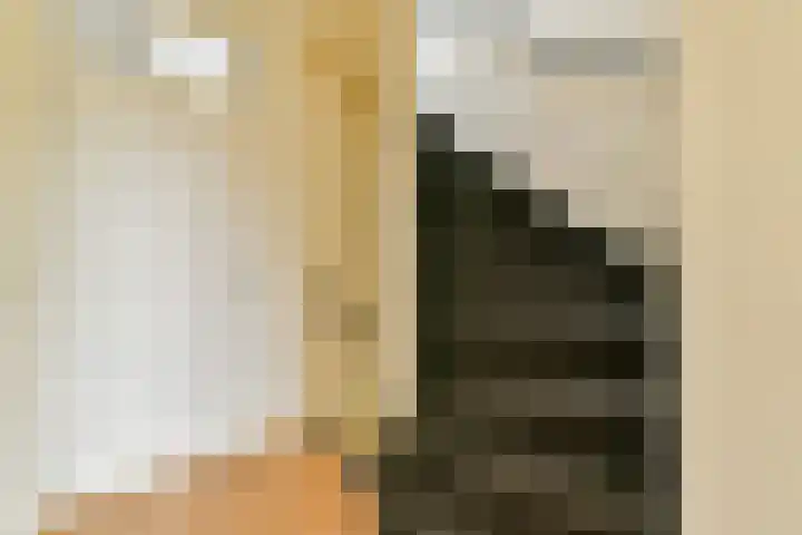 Giessenburg 1 Hoofddorp thumbnail 10