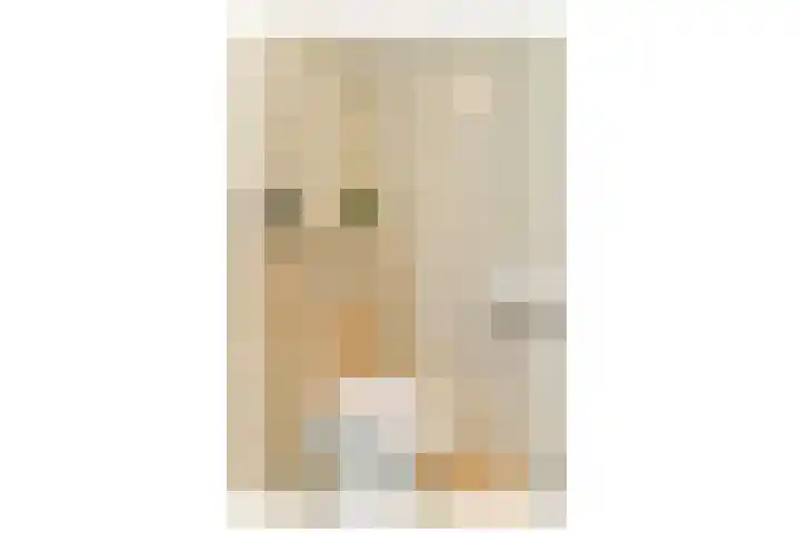Giessenburg 1 Hoofddorp thumbnail 18