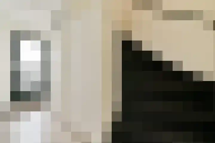 Giessenburg 1 Hoofddorp thumbnail 7