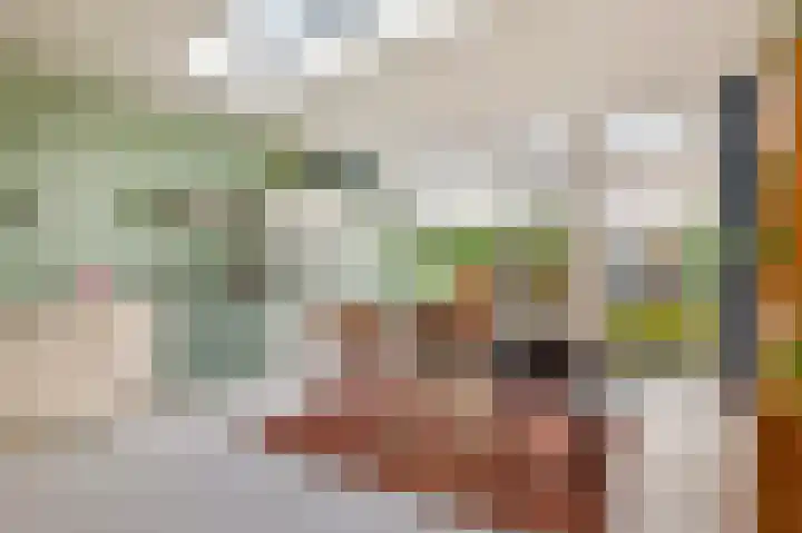 Giessenburg 30 Landsmeer thumbnail 12