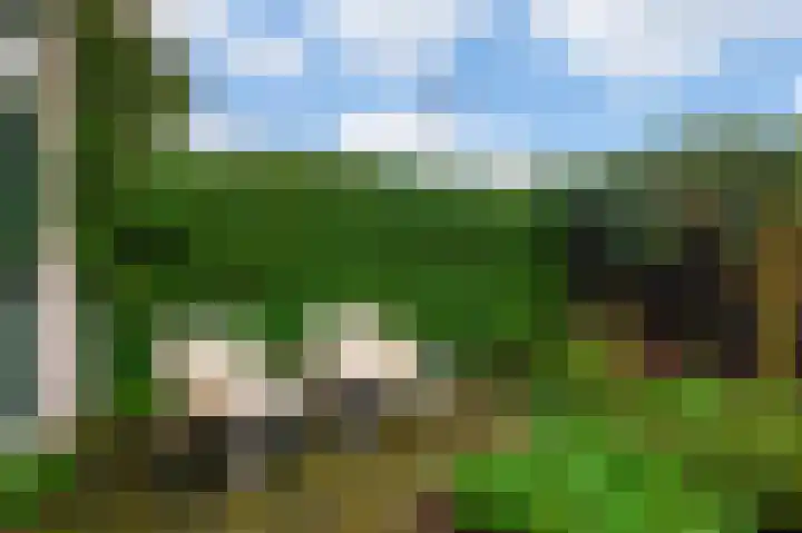Giessenburg 30 Landsmeer thumbnail 18