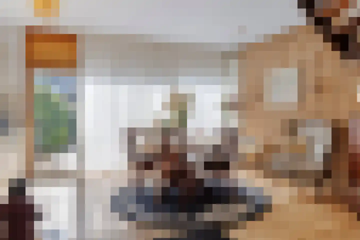 Giessenburg 31 Landsmeer thumbnail 15