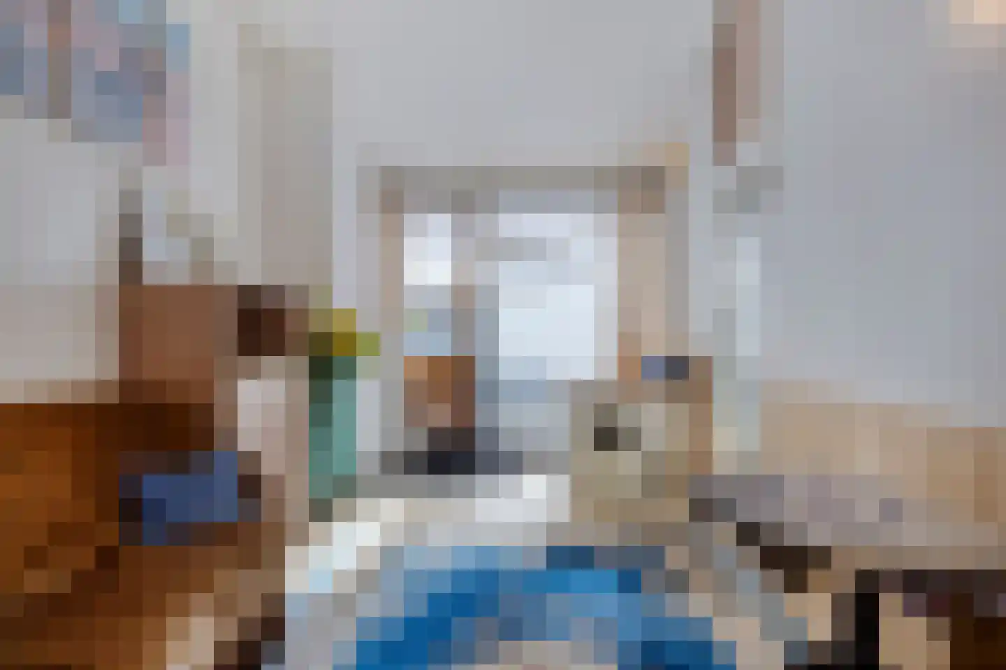 Giessenburg 31 Landsmeer thumbnail 31