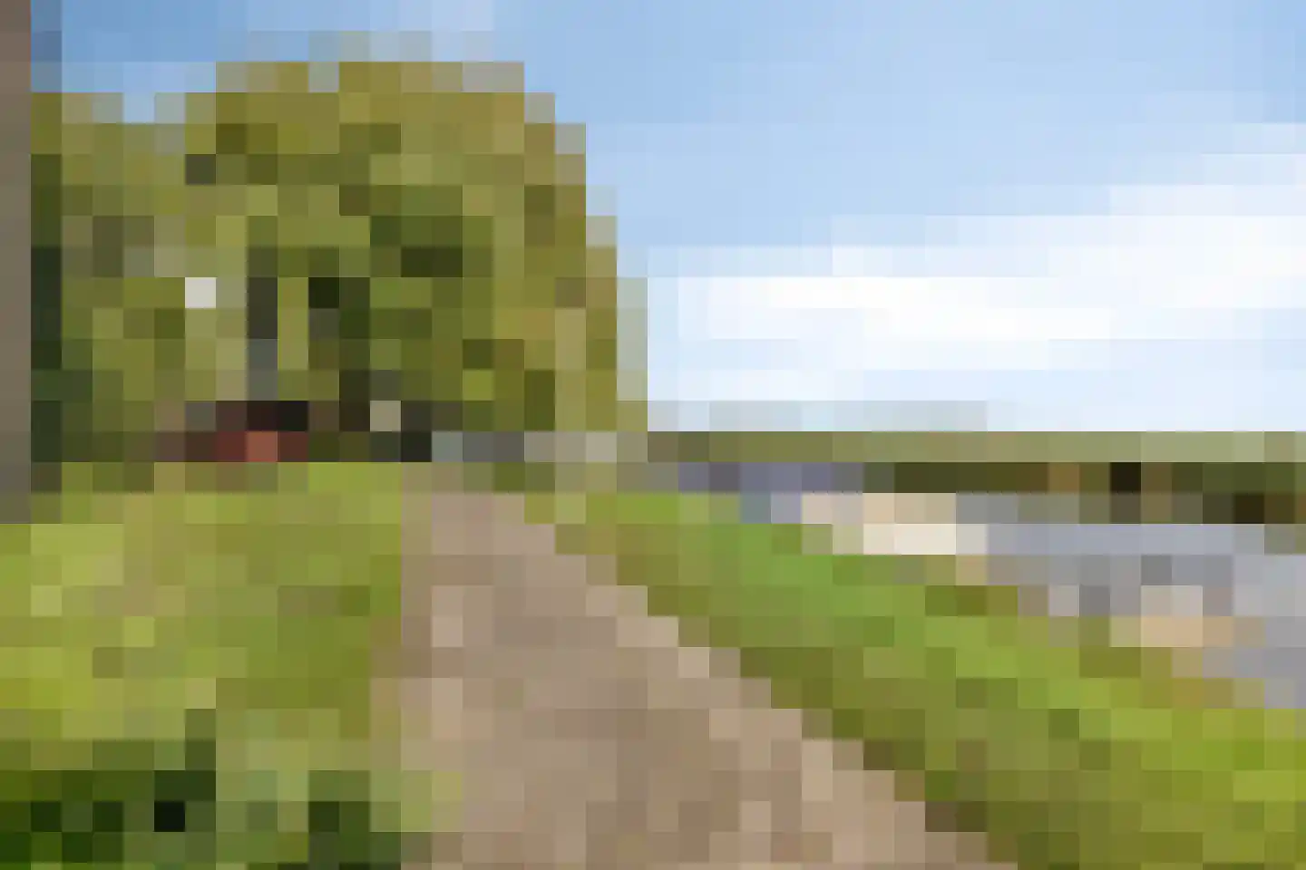 Giessenburg 31 Landsmeer thumbnail 36