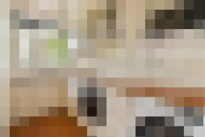 Giessenburg 4 Amsterdam thumbnail 20