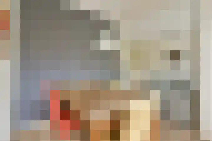 Giessenburg 4 Amsterdam thumbnail 8