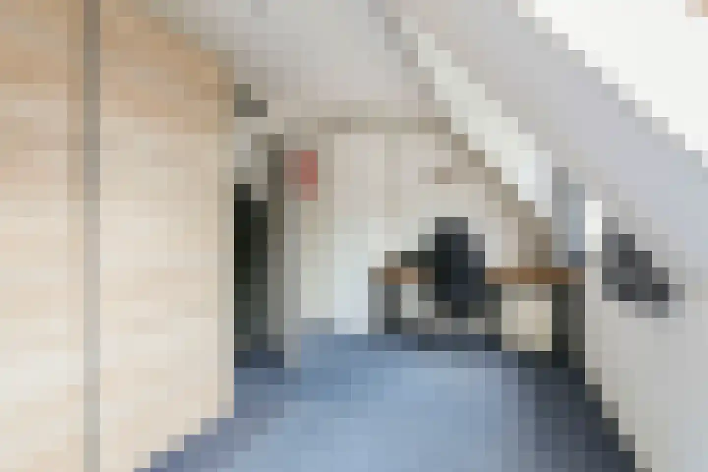 Giessenburg 4 Hoofddorp thumbnail 23
