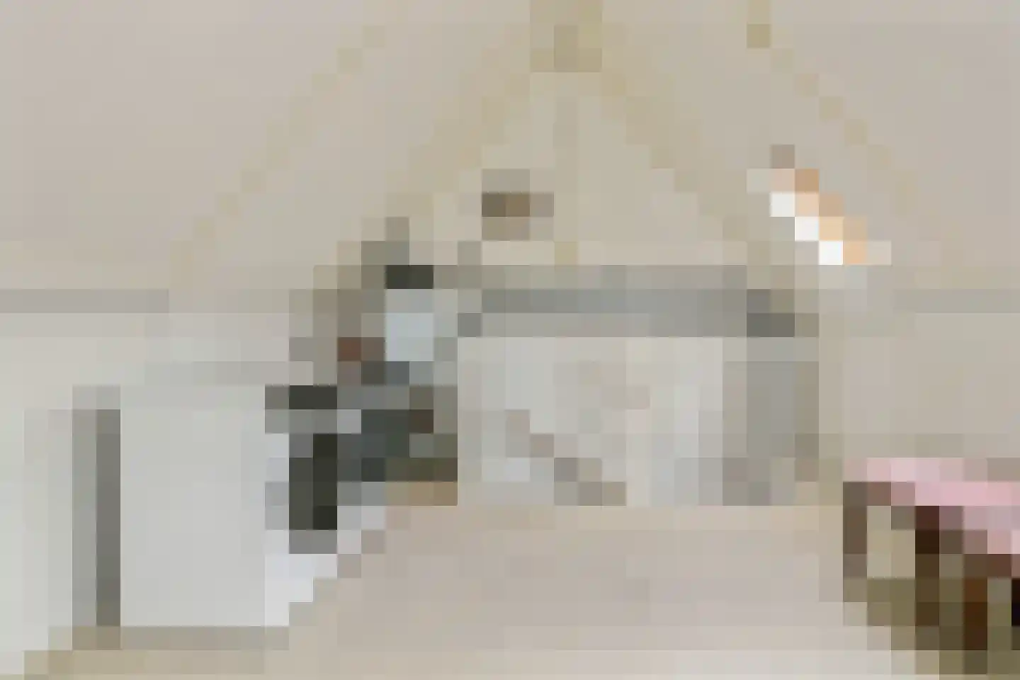 Giessenburg 4 Hoofddorp thumbnail 27