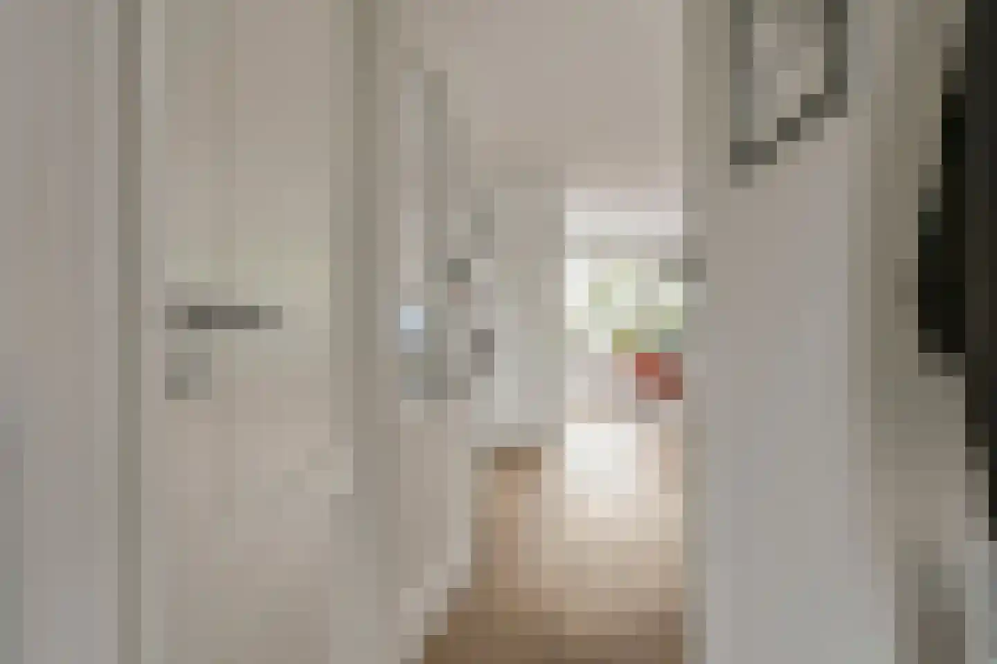 Giessenburg 4 Hoofddorp thumbnail 8