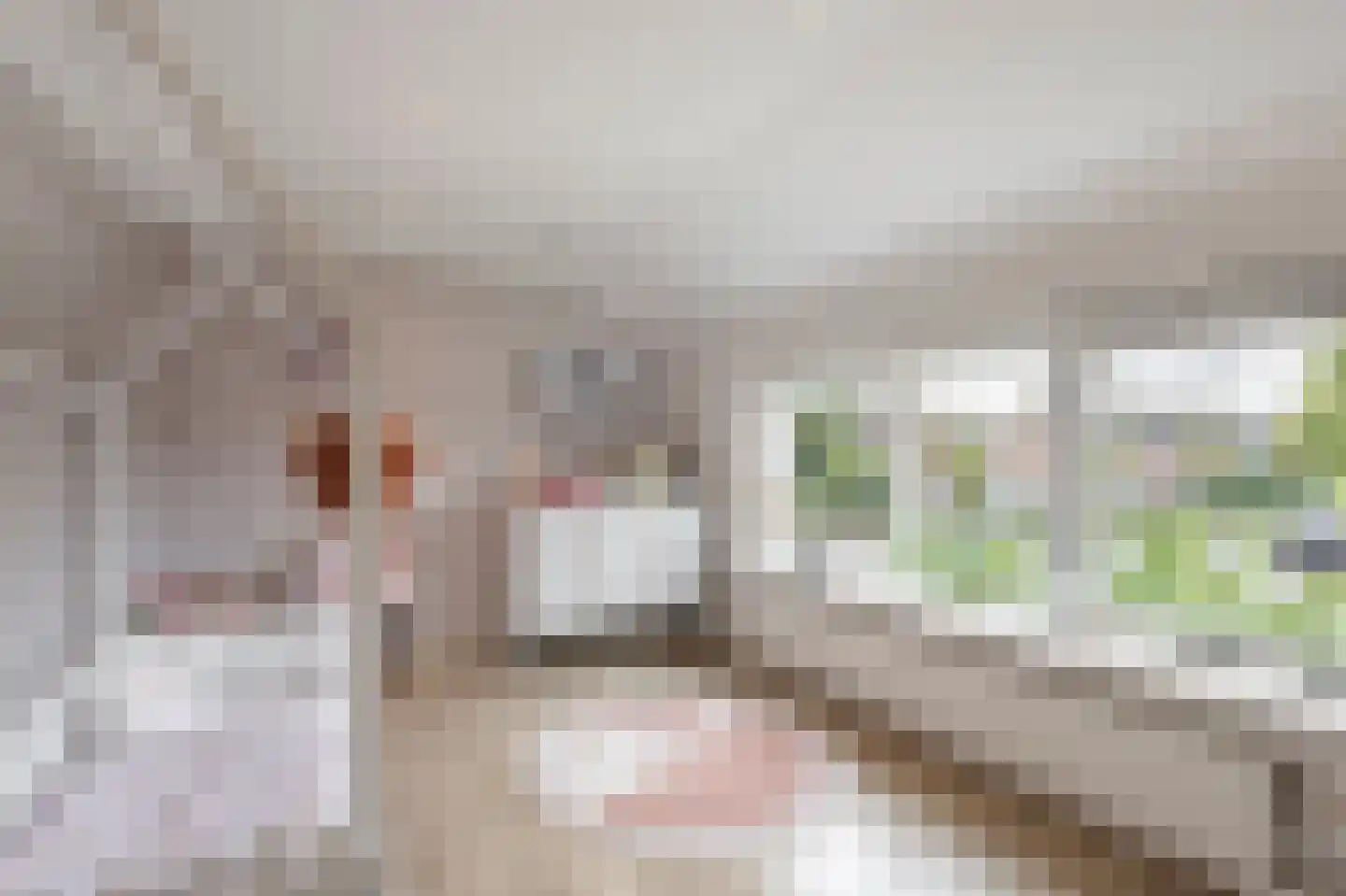 Giessenlaan 23 Giessenburg thumbnail 20